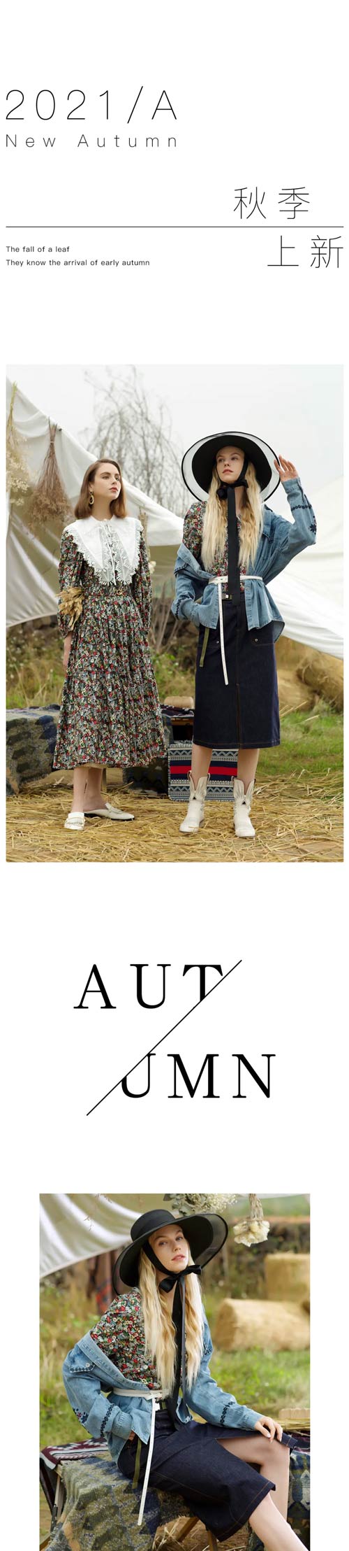 时光的脚步 静静地述说着秋日的邂语 ARDOMAIN 艺 域